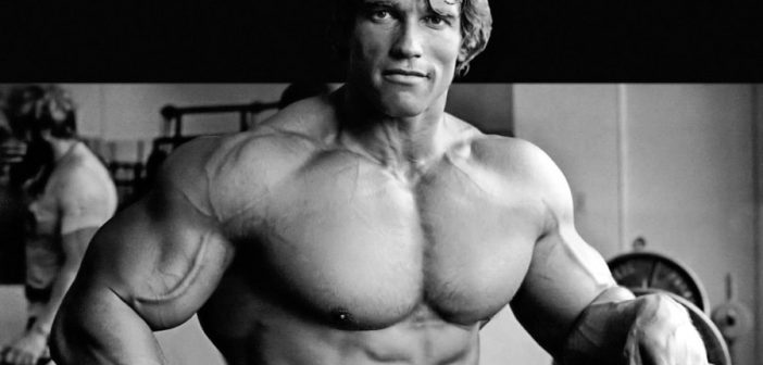 Arnold Schwarzenegger : parcours du culturiste ?